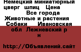 Немецкий миниатюрный(цверг) шпиц › Цена ­ 50 000 - Все города Животные и растения » Собаки   . Ивановская обл.,Лежневский р-н